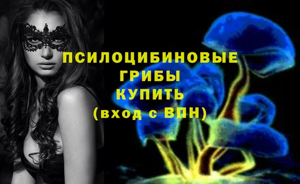 2c-b Дмитриев