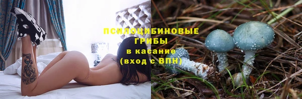 2c-b Дмитриев