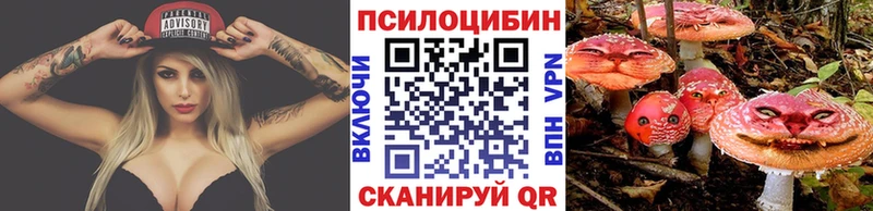 Купить закладки  Называевск  Галлюциногенные грибы Psilocybine cubensis 